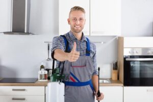 SEO for Pest Control Company - think seo now